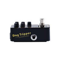 Mooer Daytripper Delay Reverb