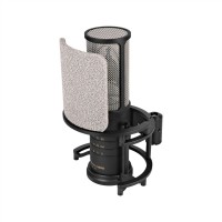 Austrian Audio OC-S10 Studio Set