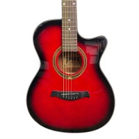 Tamrock Acoustic Guitar - RB