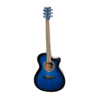 Tamrock Acoustic Guitar - BB