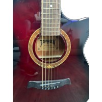 Tamrock Acoustic Guitar - TB