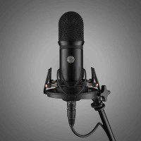 Voyage Audio Spatial Mic Dante 