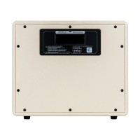 Mooer Hornet 30i Black Intelligent Amp-White